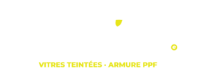 Spécialistes des vitres teintées